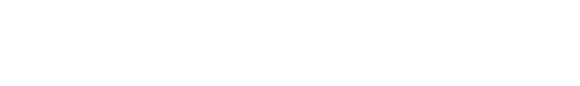 Peel Auto Diagnosis